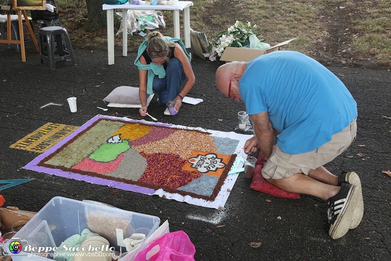 VBS_9632 - Infiorata di Villanova d'Asti 2023.jpg